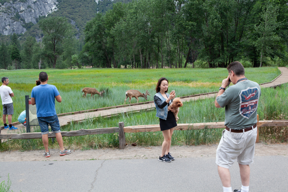 Camera Cultures: Technosocial Theaters of the Photographic Event